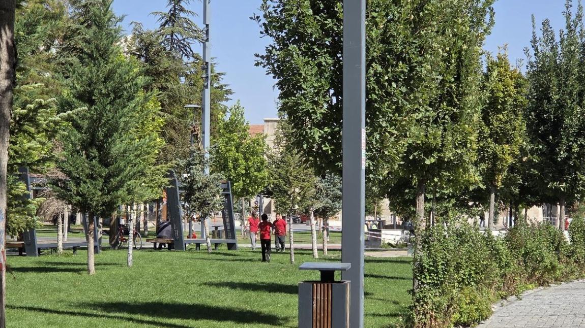 Oryantiring, Tohum, Toprak ve Temiz Hava